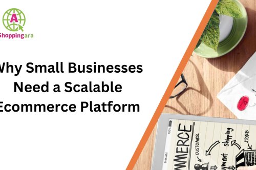 Why Do Small Businesses Need a Scalable Ecommerce Business Platform?